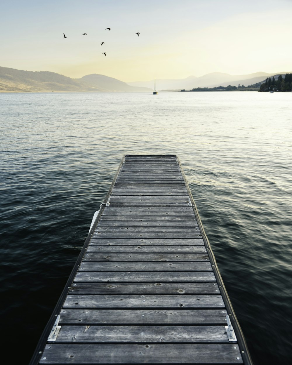 a dock extending into the water with birds flying overhead