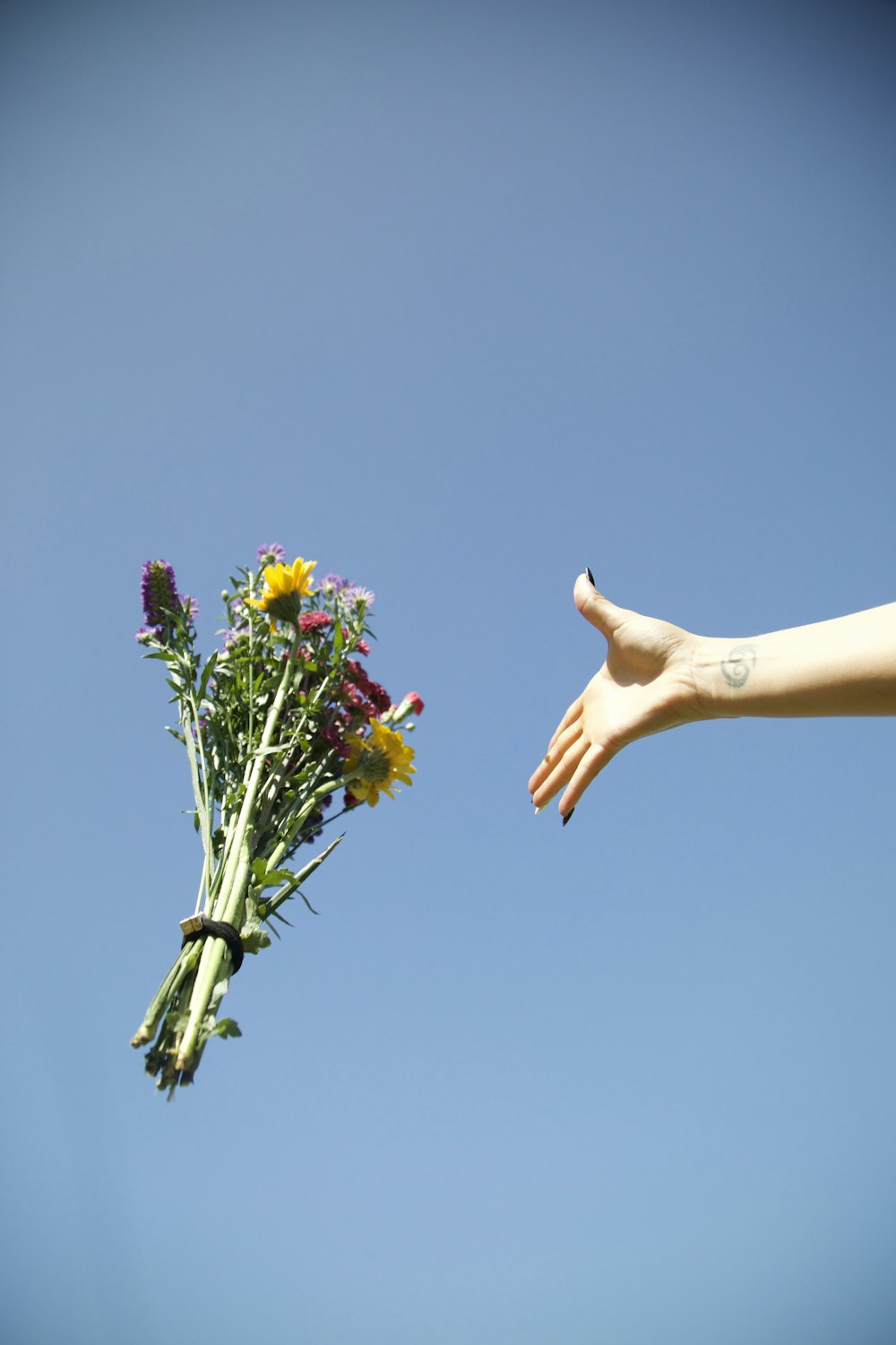 a hand reaching for a bouquet of flowers