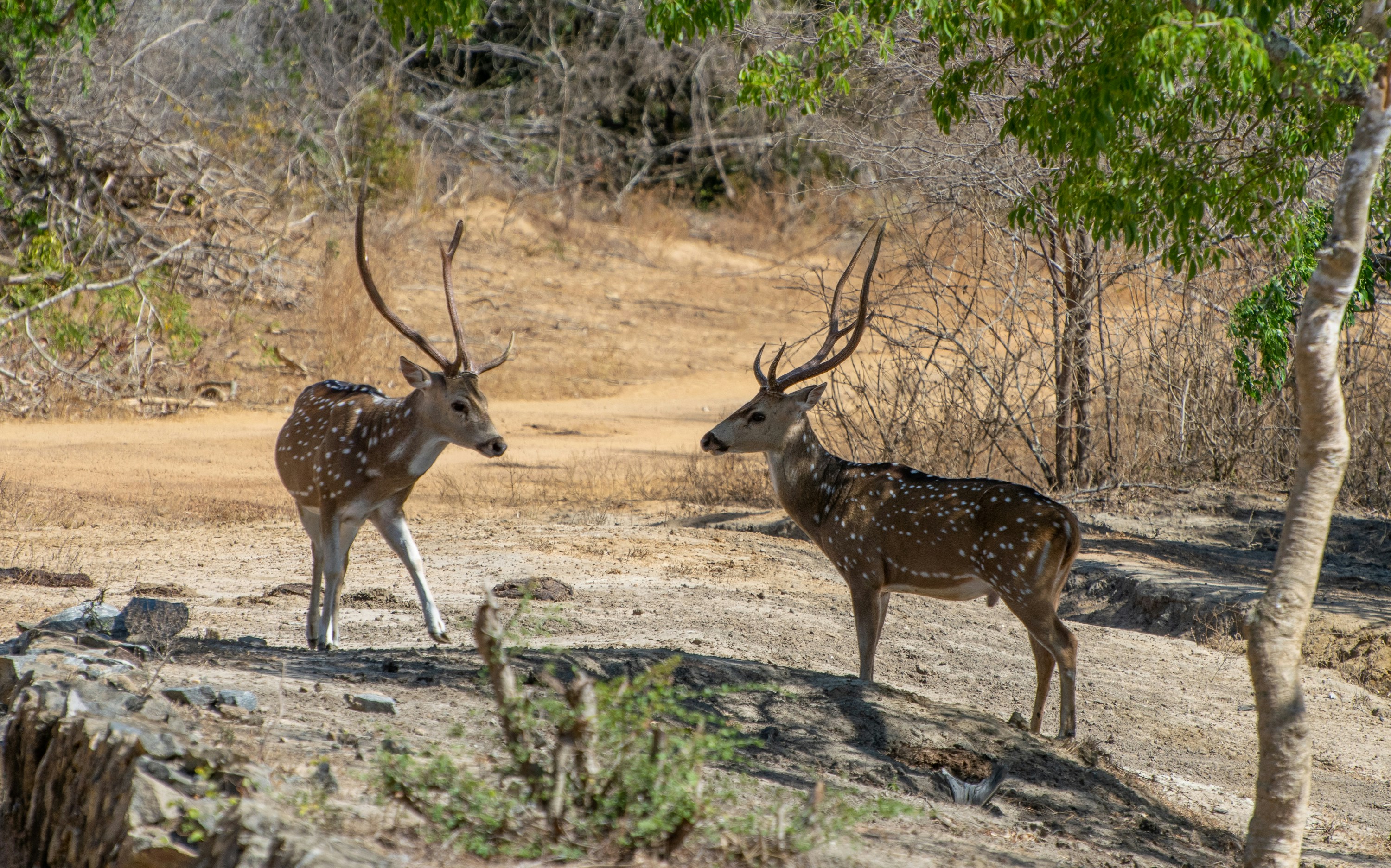 The Numbers That Matter (image credits: unsplash)