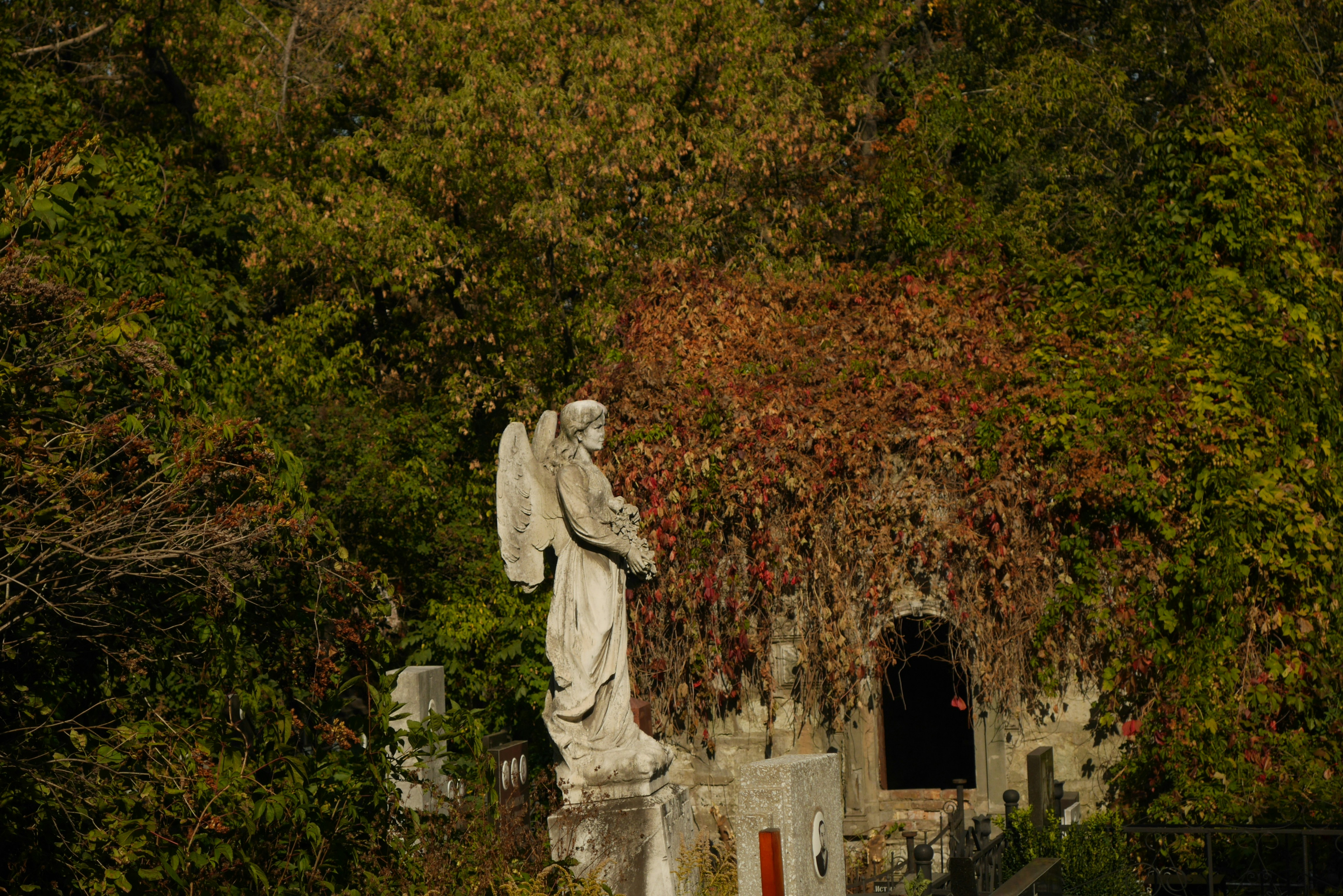 a statue of an angel in a cemetery surrounded by trees