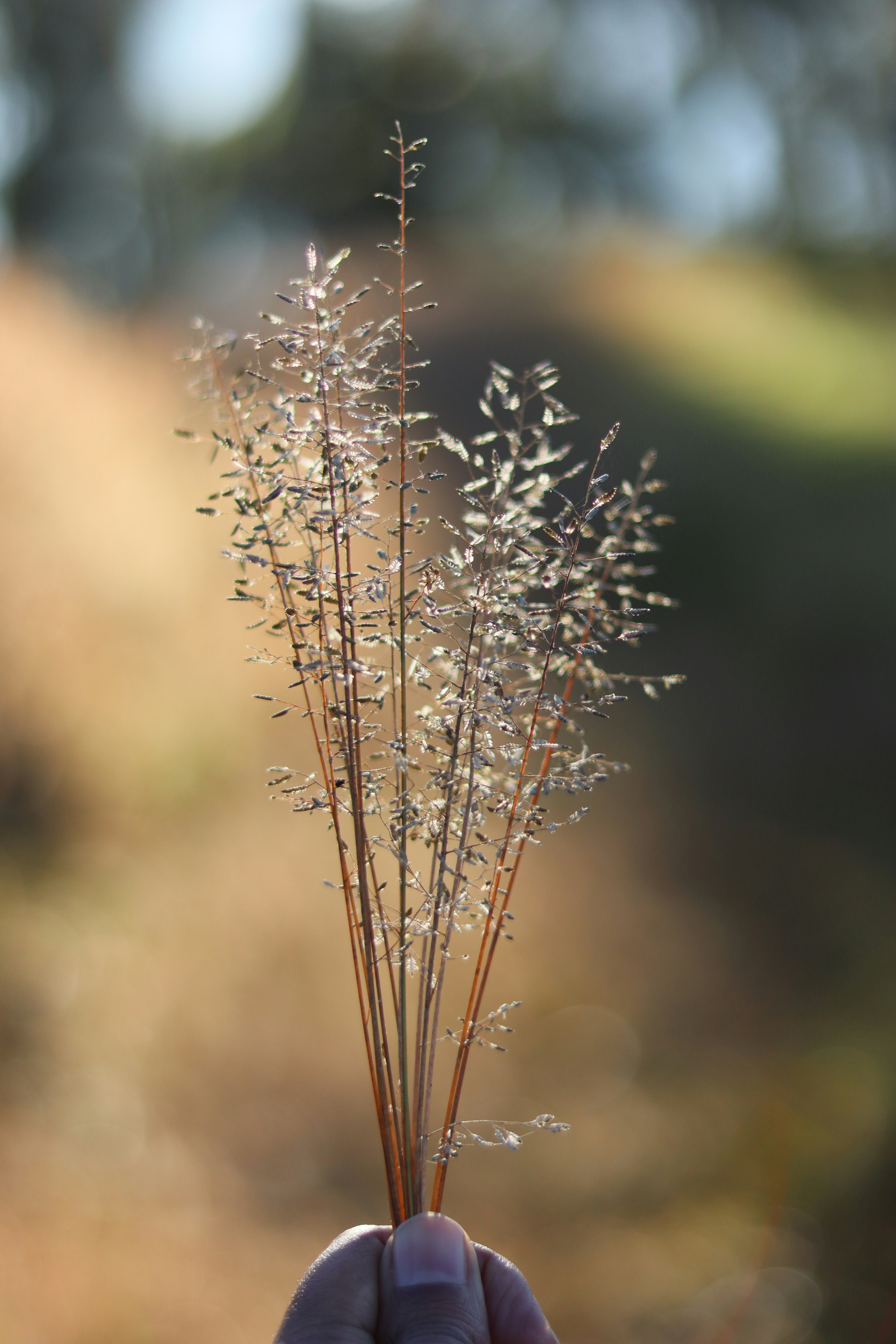 Photo by tonyzebastian