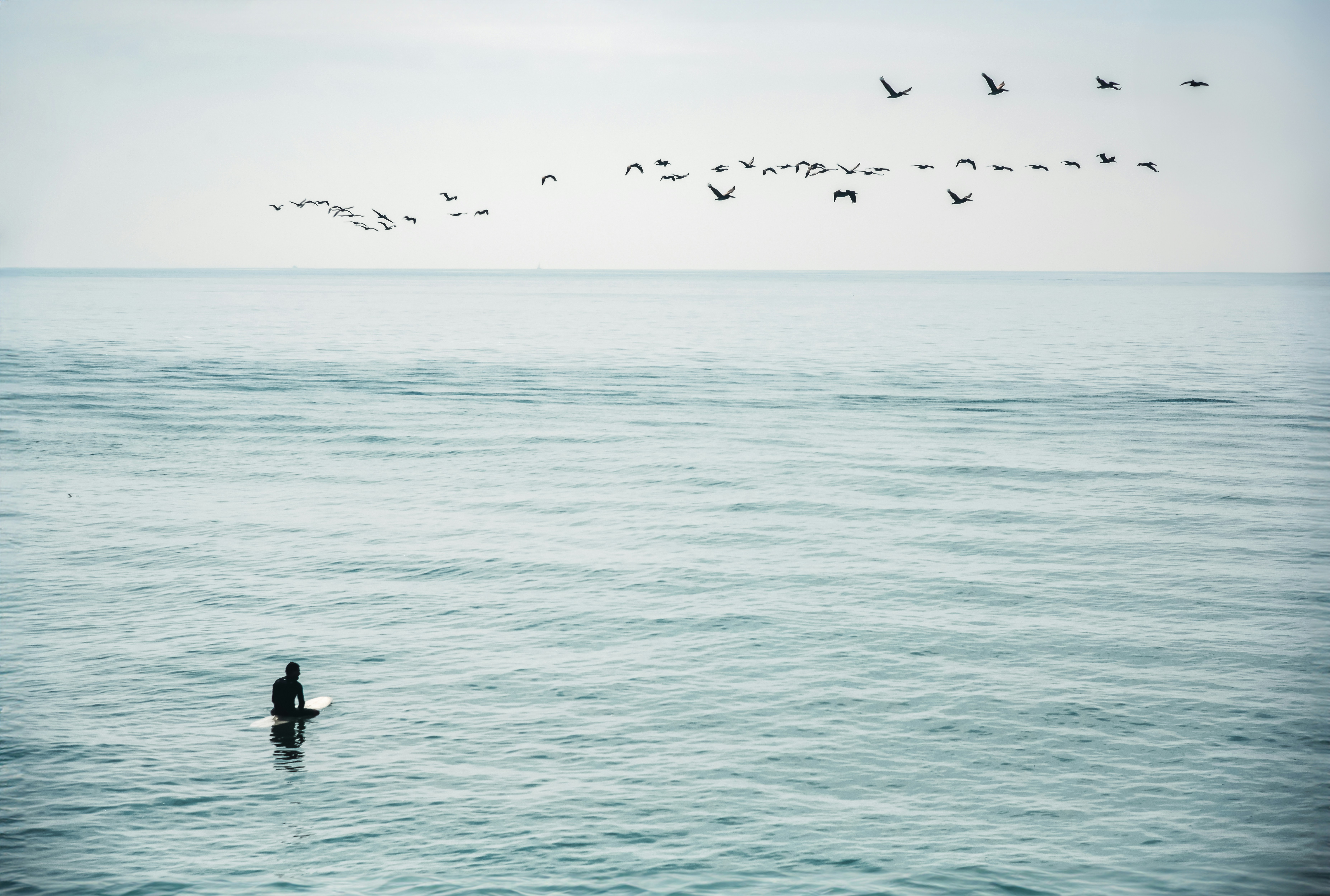 a person standing in the ocean with a flock of birds flying overhead