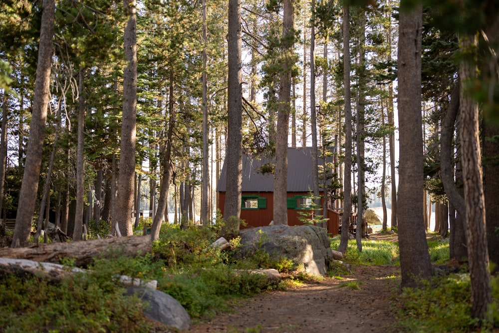 a small cabin in the middle of a forest