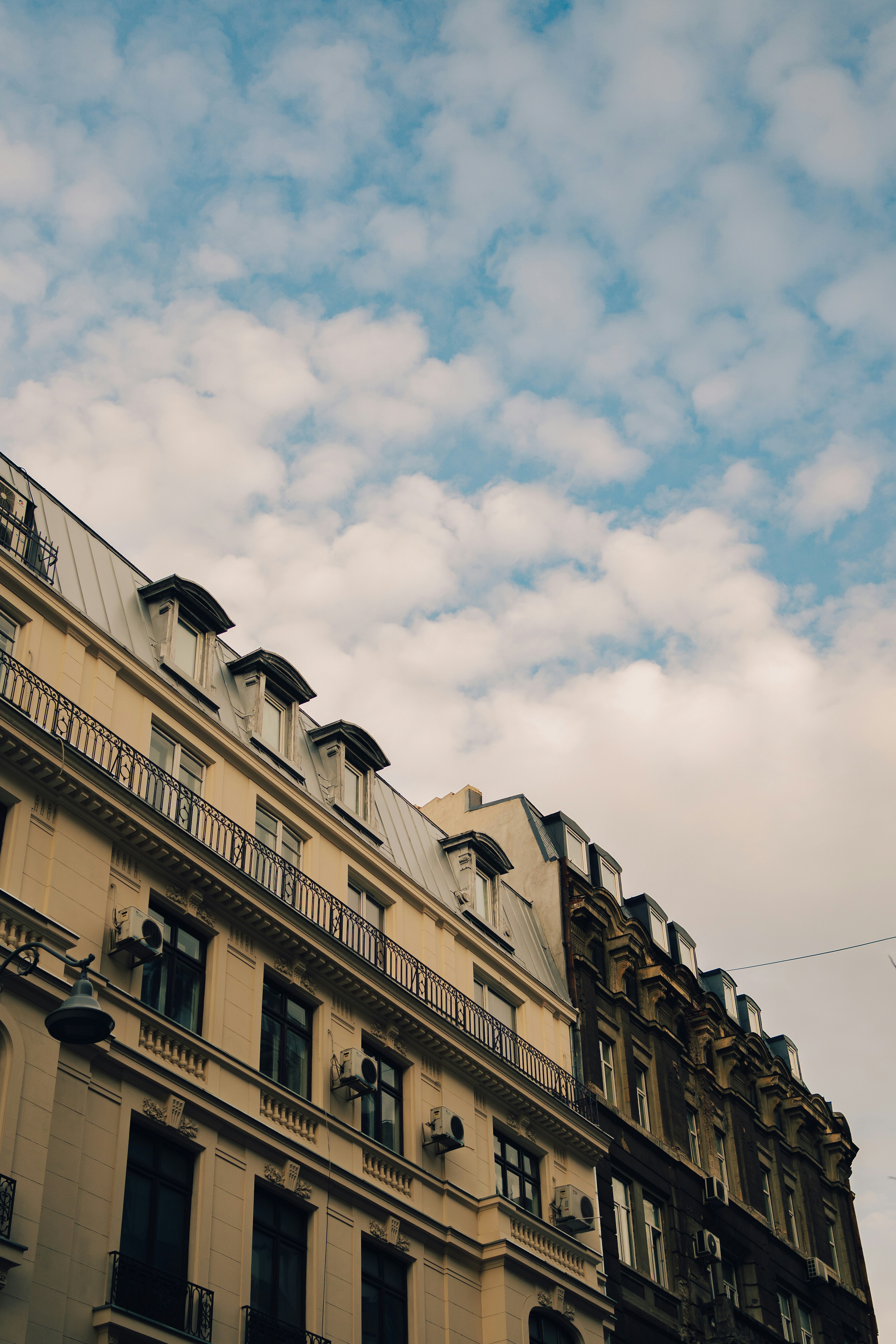 Photo by davidguliciuc