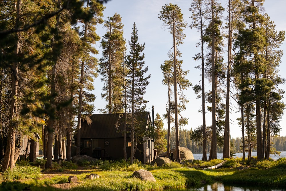 a cabin in the woods near a lake