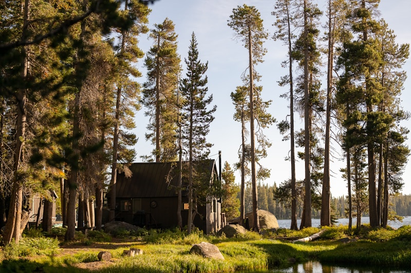 a cabin in the woods near a lake