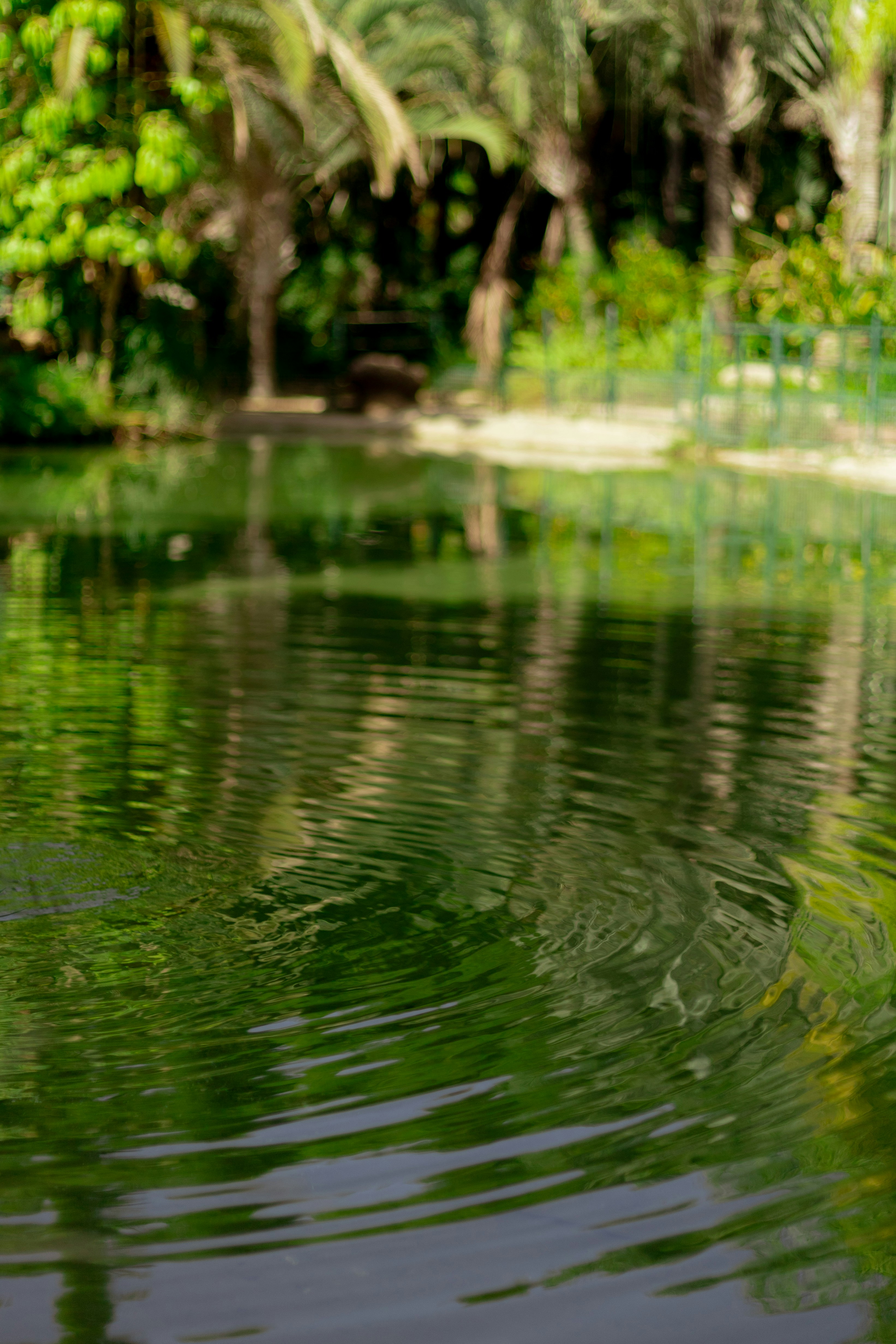 Photo by maria_bora_bora