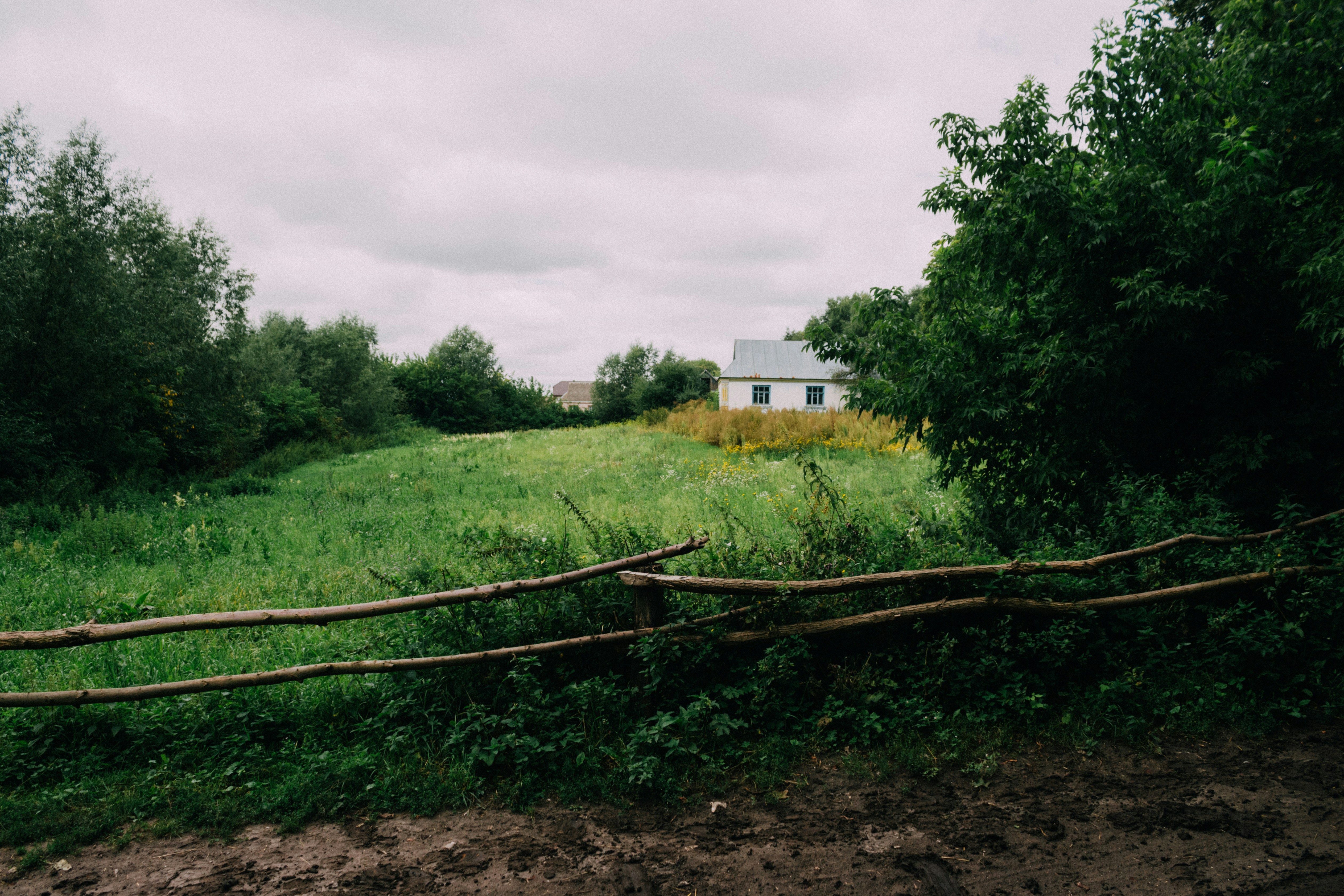 Photo by viktorsmoliak