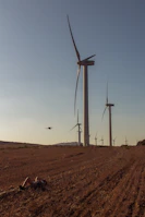 Engineers monitoring performance data on tablets beside a wind farm.