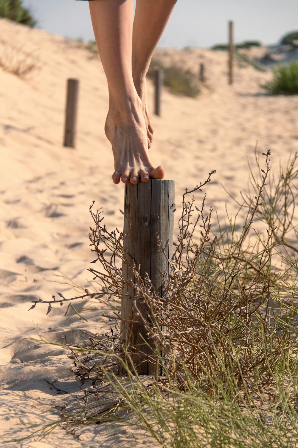 a person standing on top of a wooden post