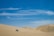 A vast, sandy desert landscape under a clear, blue sky. A four-wheel-drive vehicle is seen navigating the dunes, leaving tracks in the sand behind it. The dunes are gently curving and stretch towards the horizon.