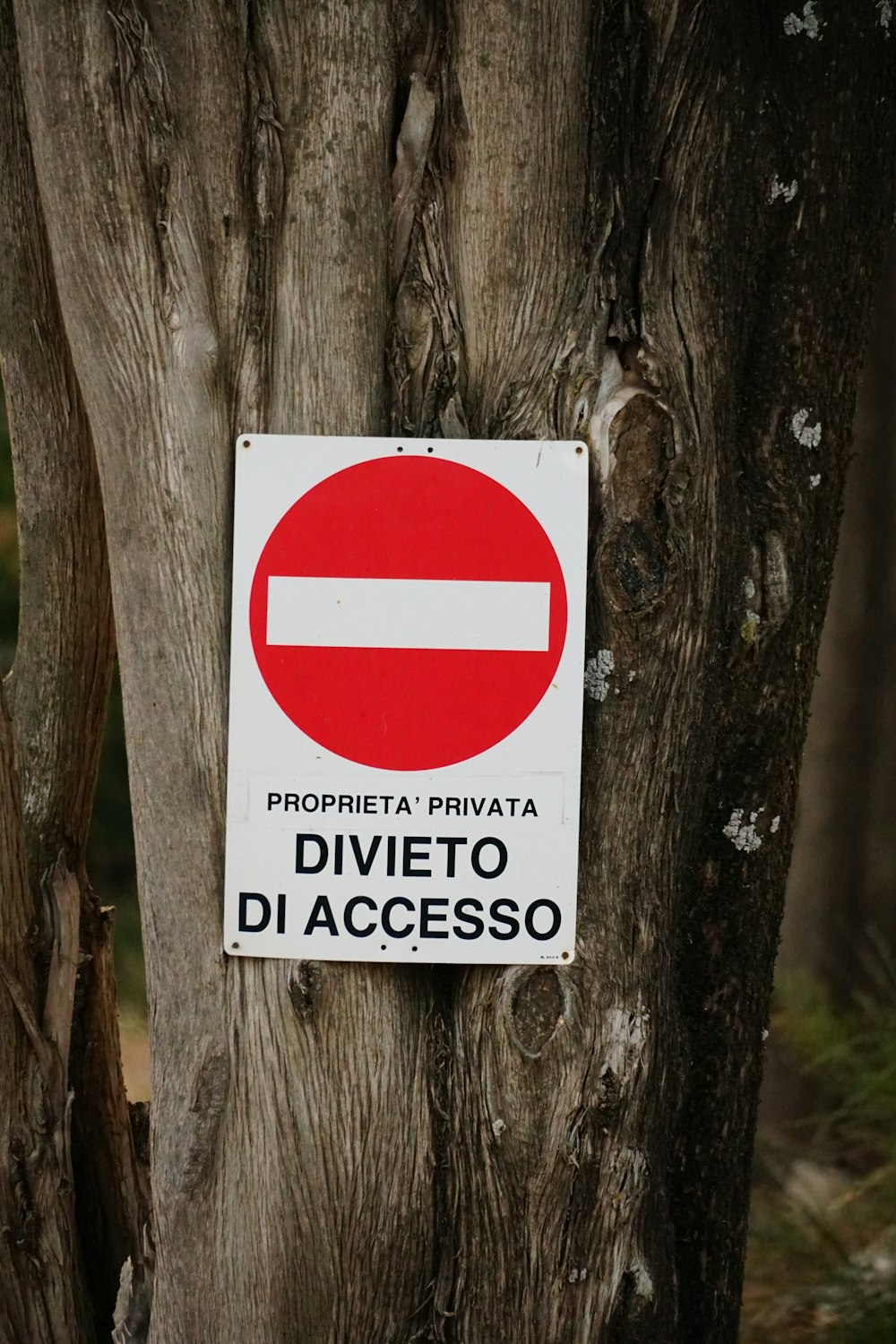a red and white sign that is on a tree