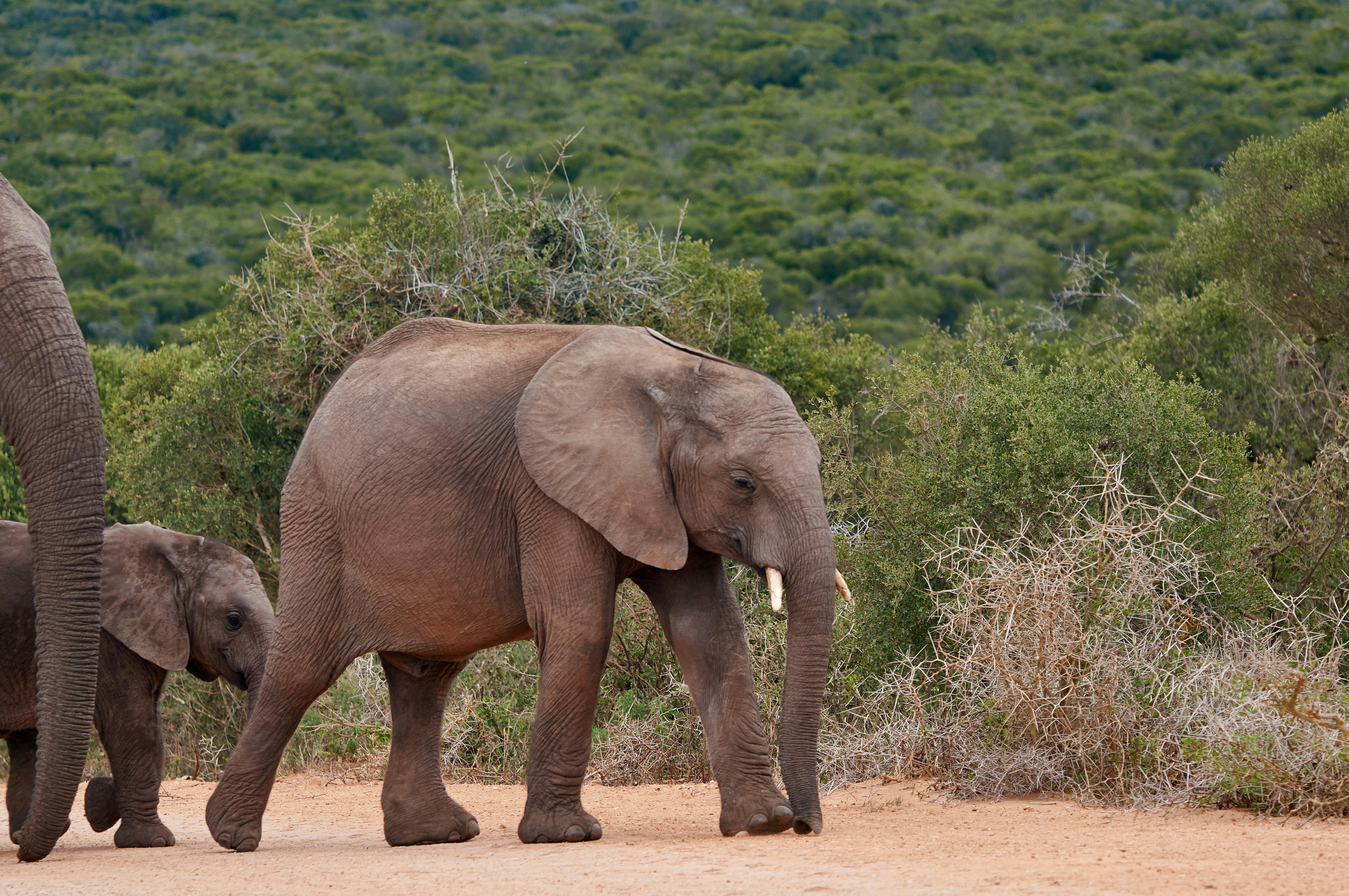 Photo by wolfgang_hasselmann