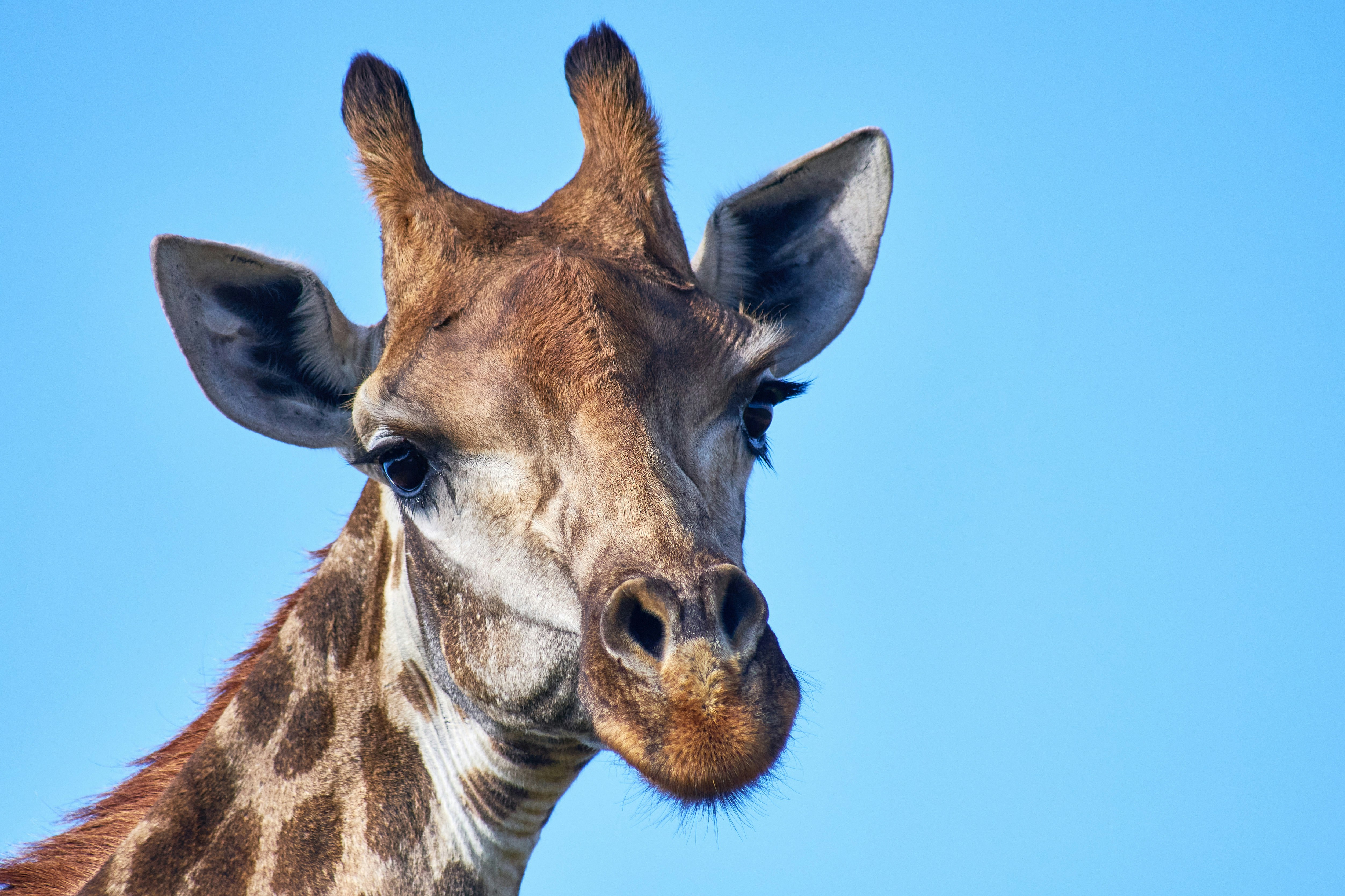 Photo by wolfgang_hasselmann