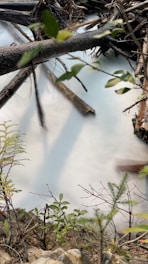 A serene water monitoring system in action.