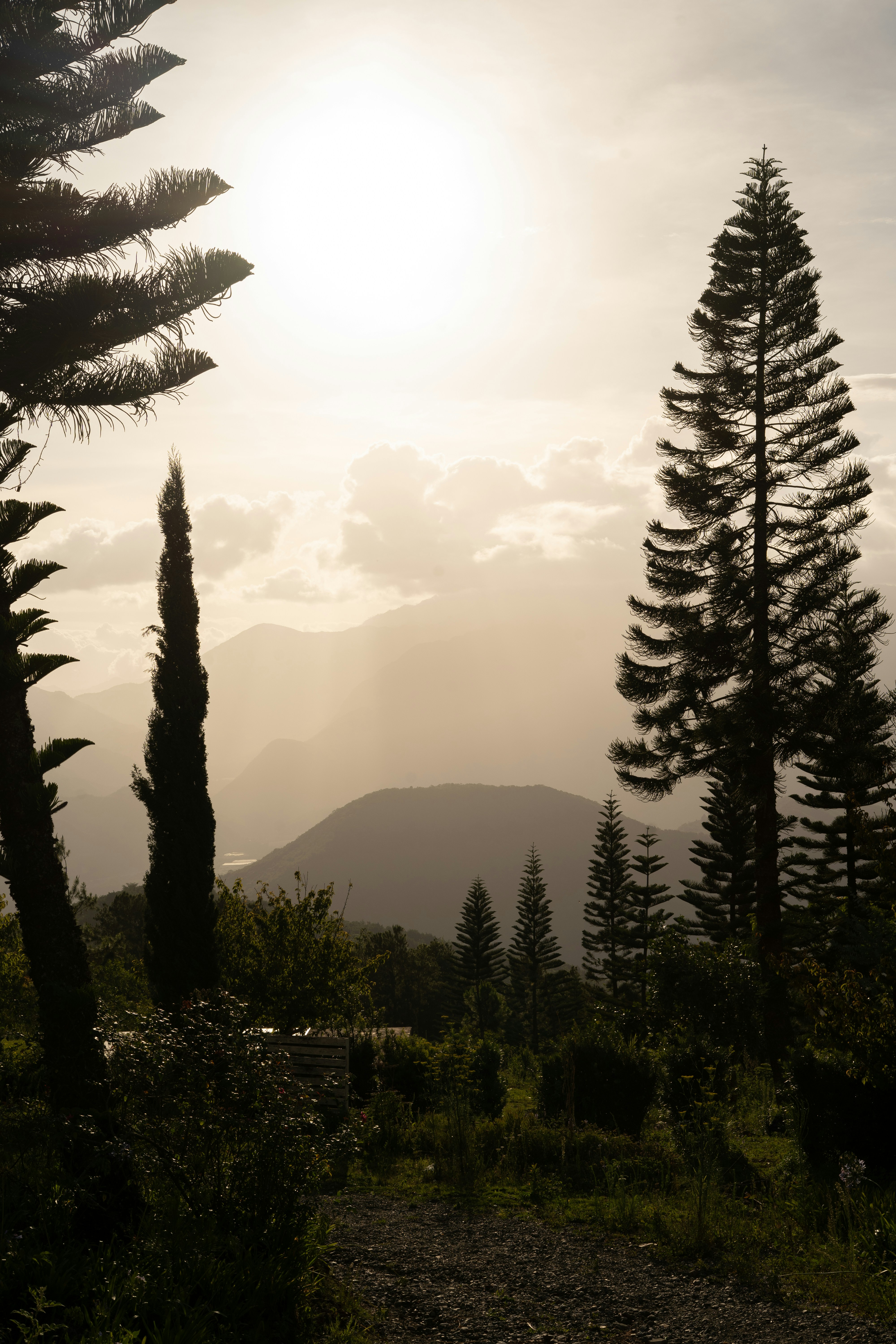 Photo by manueltvrz