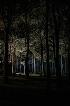 A cinematic still of a haunted forest under a moonlit sky with subtle fog.