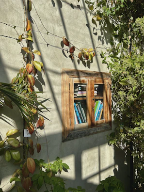 A rustic wooden cabinet mounted on a wall, filled with colorful books. Vibrant green plants with some reddish leaves climb around the cabinet and across the wall, casting intricate shadows in bright sunlight.