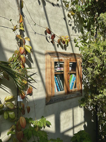 A sturdy wooden bookcase filled with books and small plants in a sunlit room.