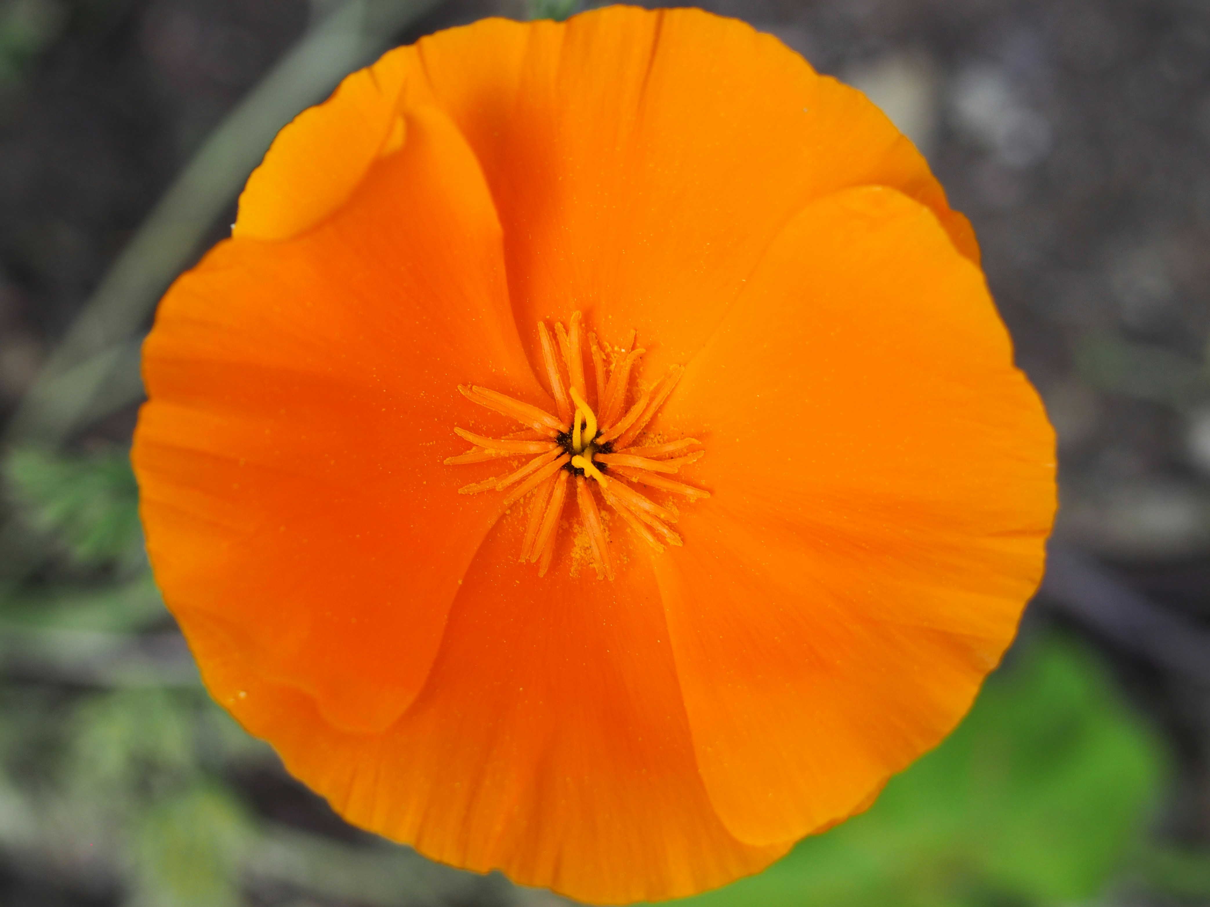 Photo by delassusdesign