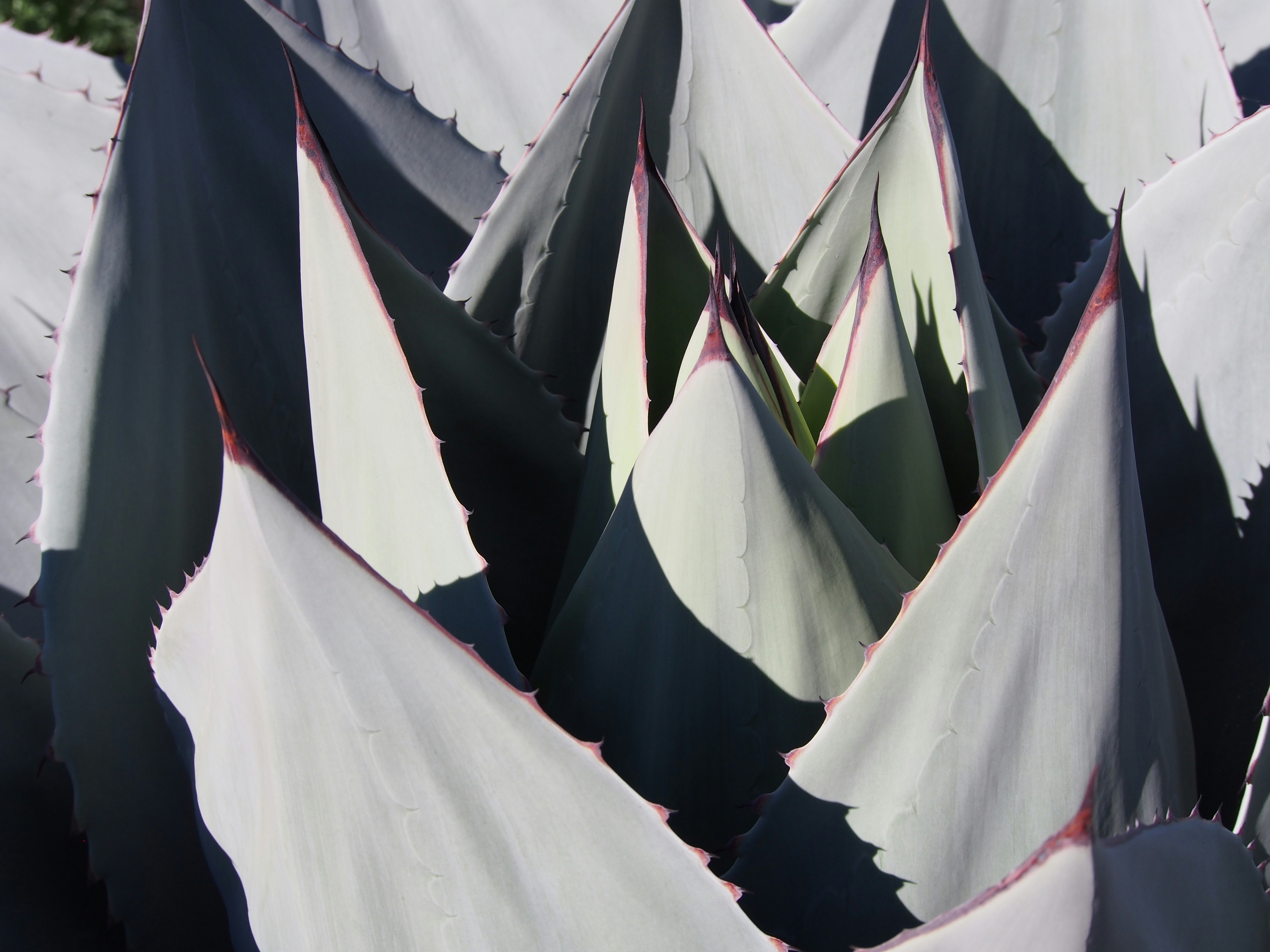 Photo by delassusdesign