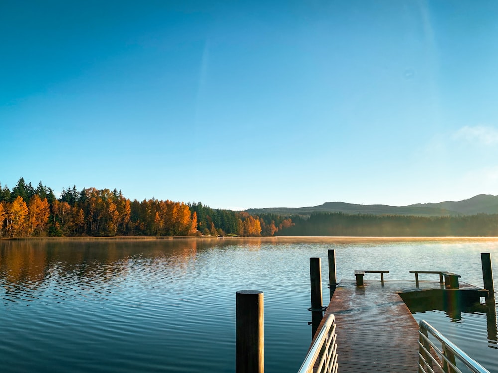 a dock on a lake surrounded by trees