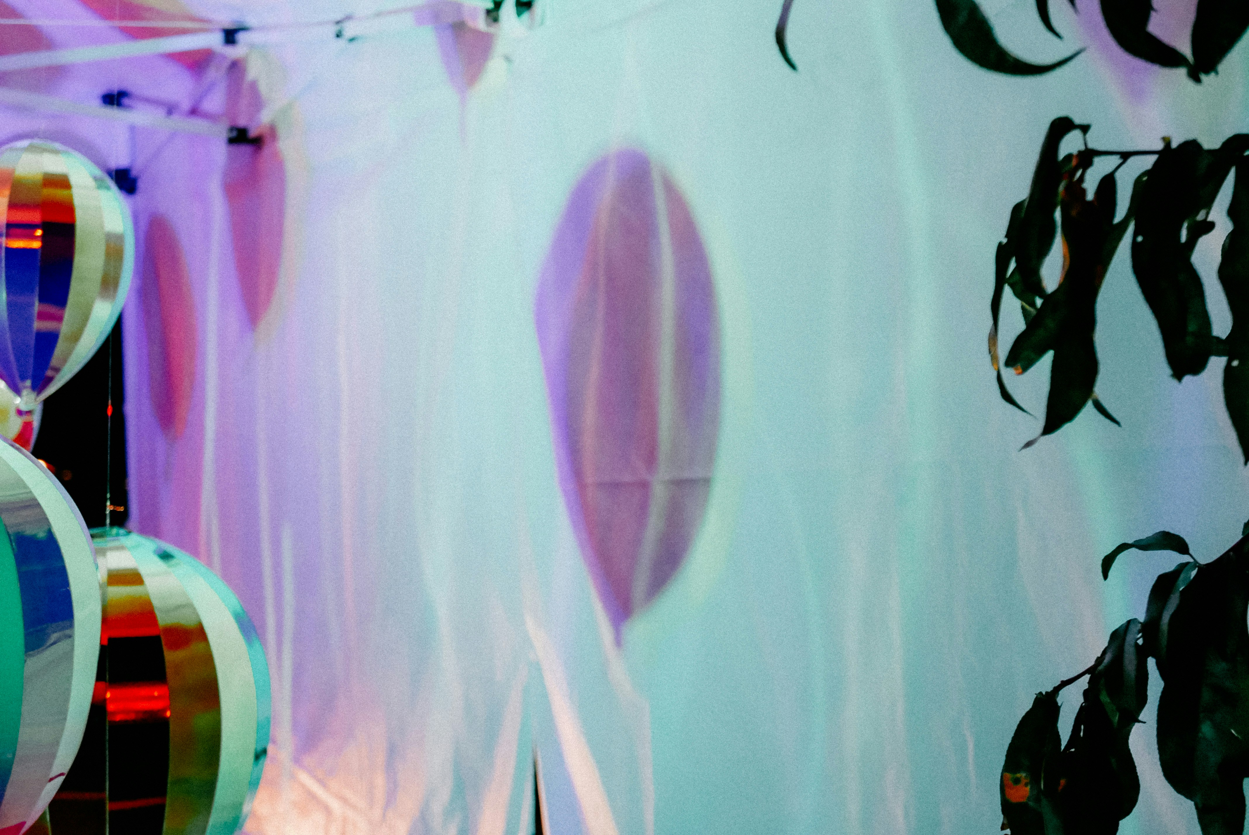 Photo by vitalymazur