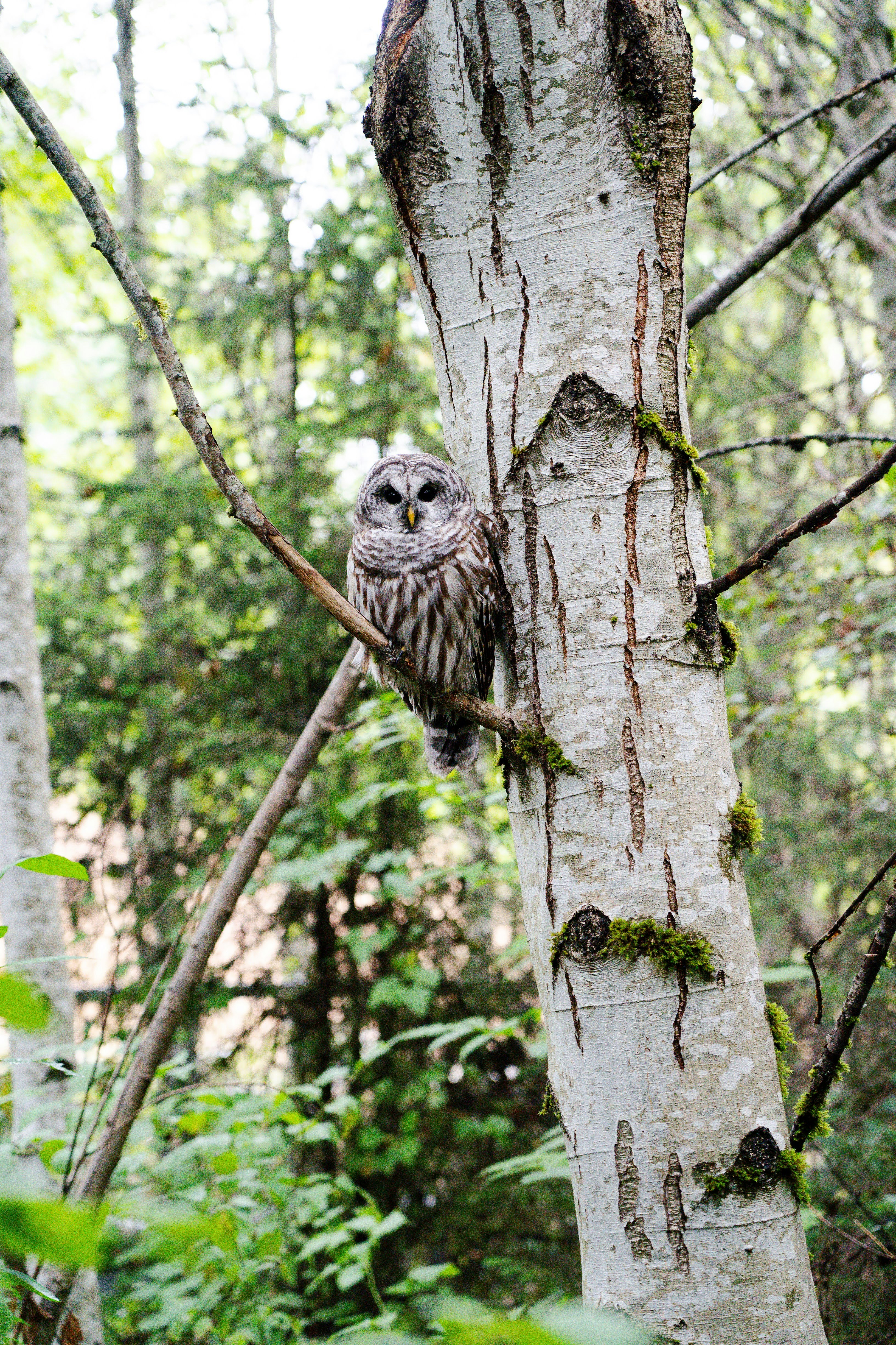 Photo by sionnaspearcpcs