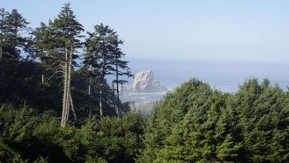 a view of the ocean through the trees