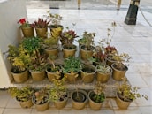 A collection of customizable tulsi pots made from premium marble.