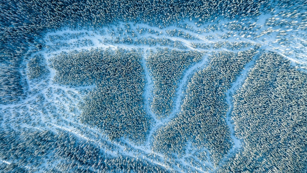 a group of birds flying over a body of water