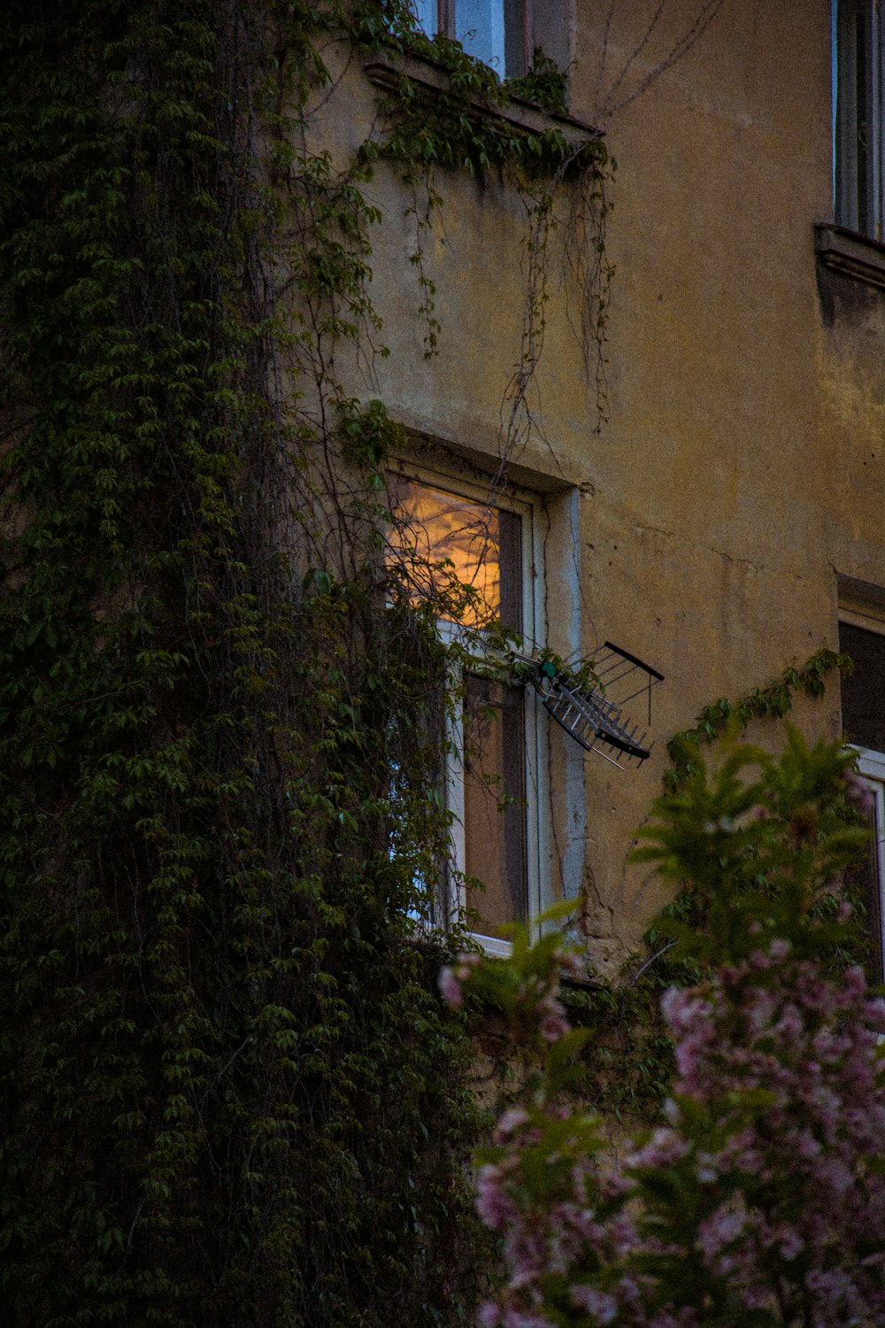 an old building with vines growing on the side of it