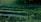 Several rectangular plots of land are filled with water amidst lush, green vegetation. A road runs along the upper edge of the image, bordered by a sparse wooden fence. The scene is bathed in a greenish hue, suggesting filtered or low light conditions.