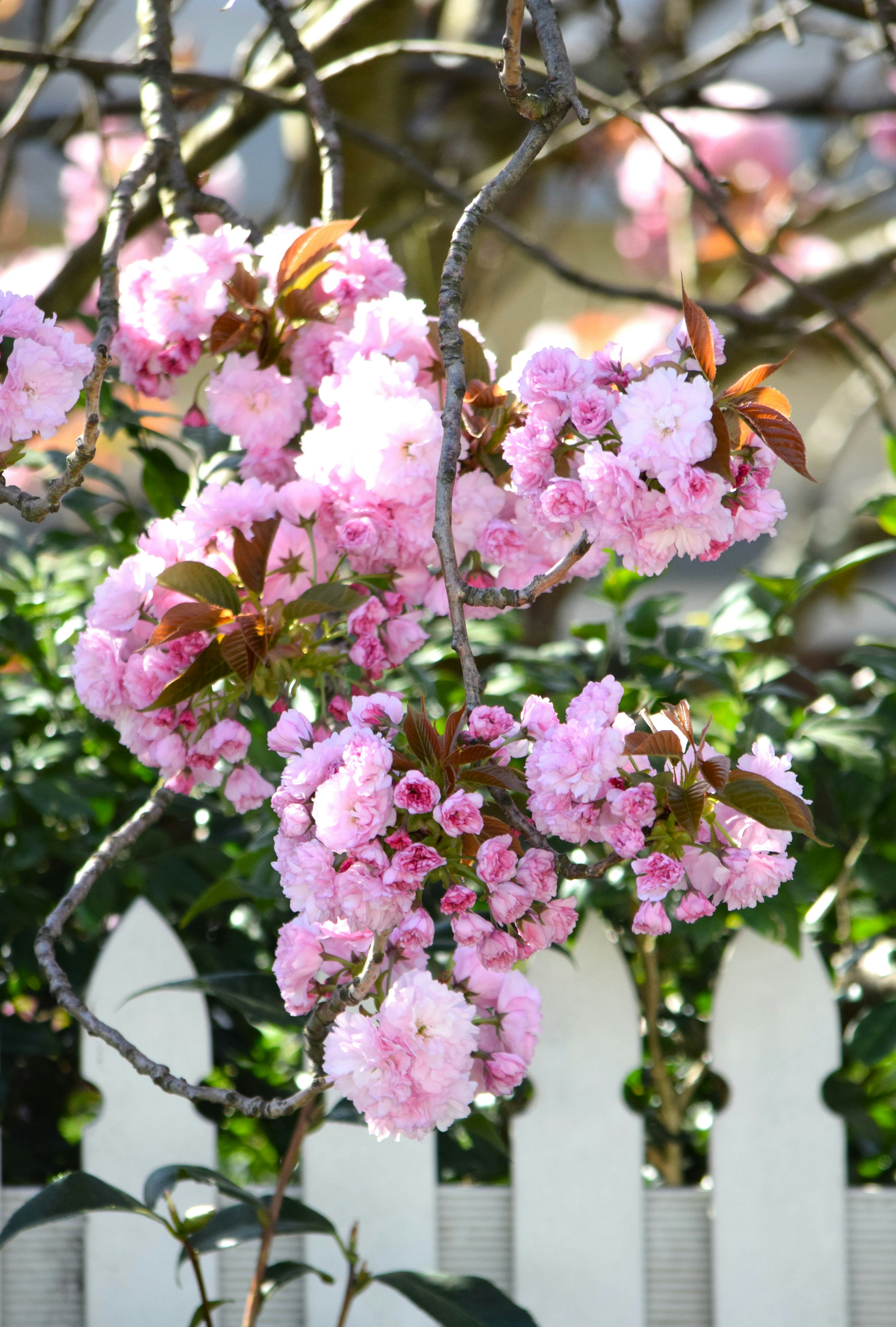 Photo by ch_photography