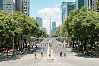A bustling city street with trees lining both sides, filled with people walking and biking. Tall modern buildings rise in the background, and the sky is clear with a few clouds. The foreground shows a crosswalk, and the overall scene depicts an urban environment with green spaces.