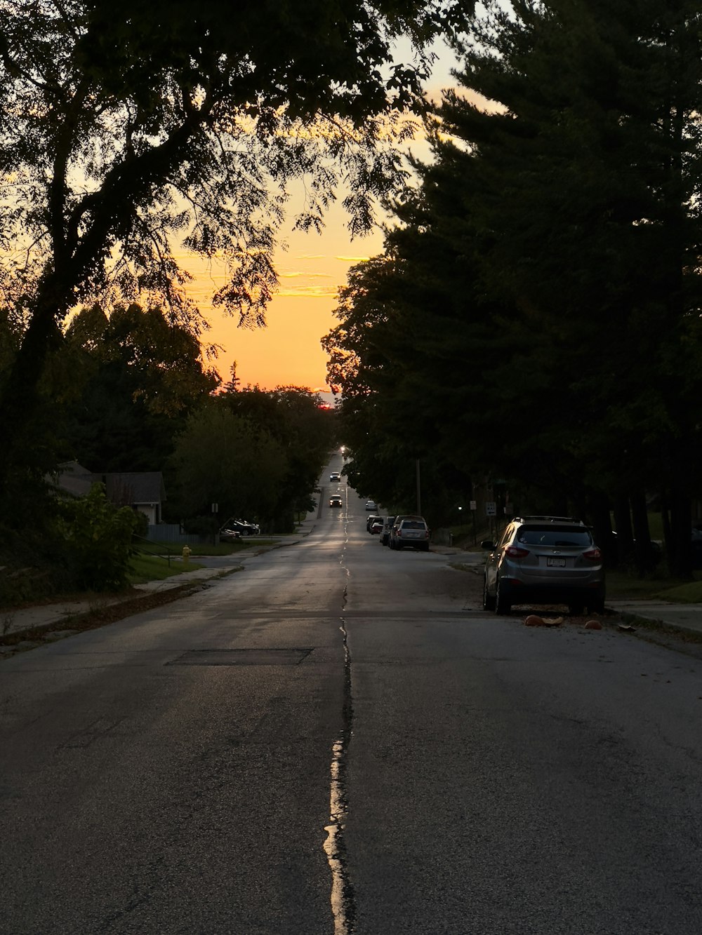 a street lined with trees and parked cars