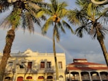 Balcony view overlooking colorful colonial buildings and palm trees at sunset.
