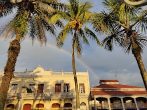 Balcony view overlooking colorful colonial buildings and palm trees at sunset.