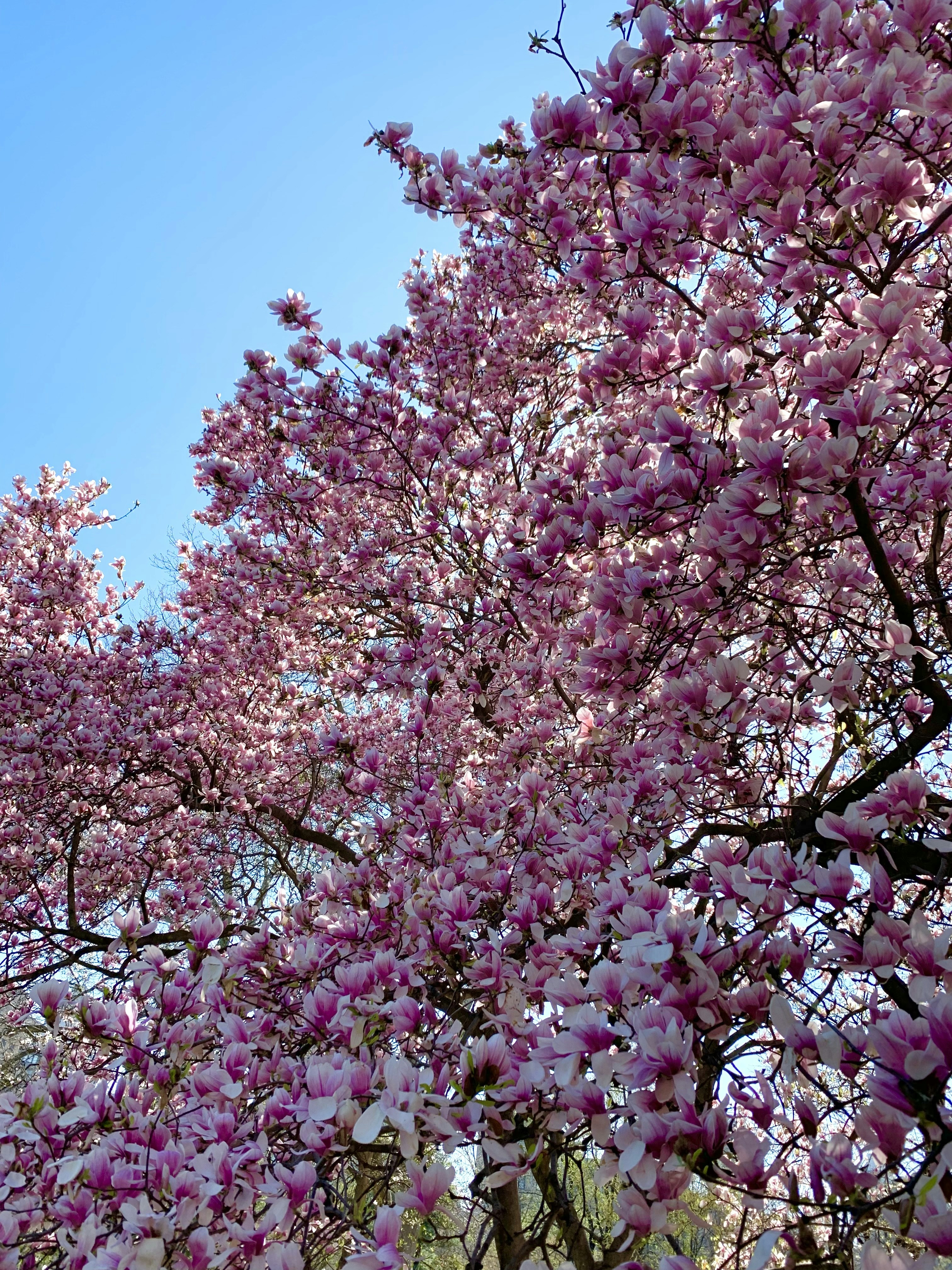 Photo by vdp_photography