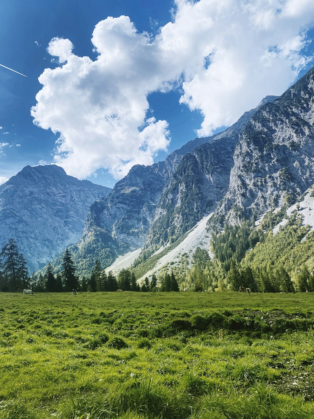 a grassy field with mountains in the background