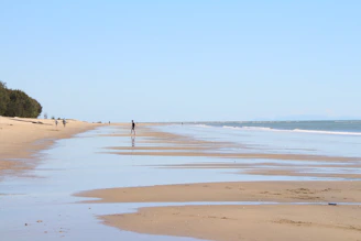 a person walking on a beach next to the ocean
