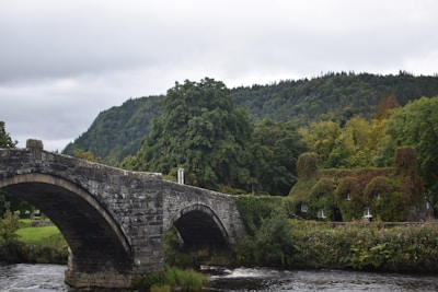 a stone bridge over a river surrounded by trees