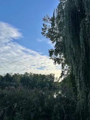 A serene landscape showcasing lush greenery and a clear blue sky.