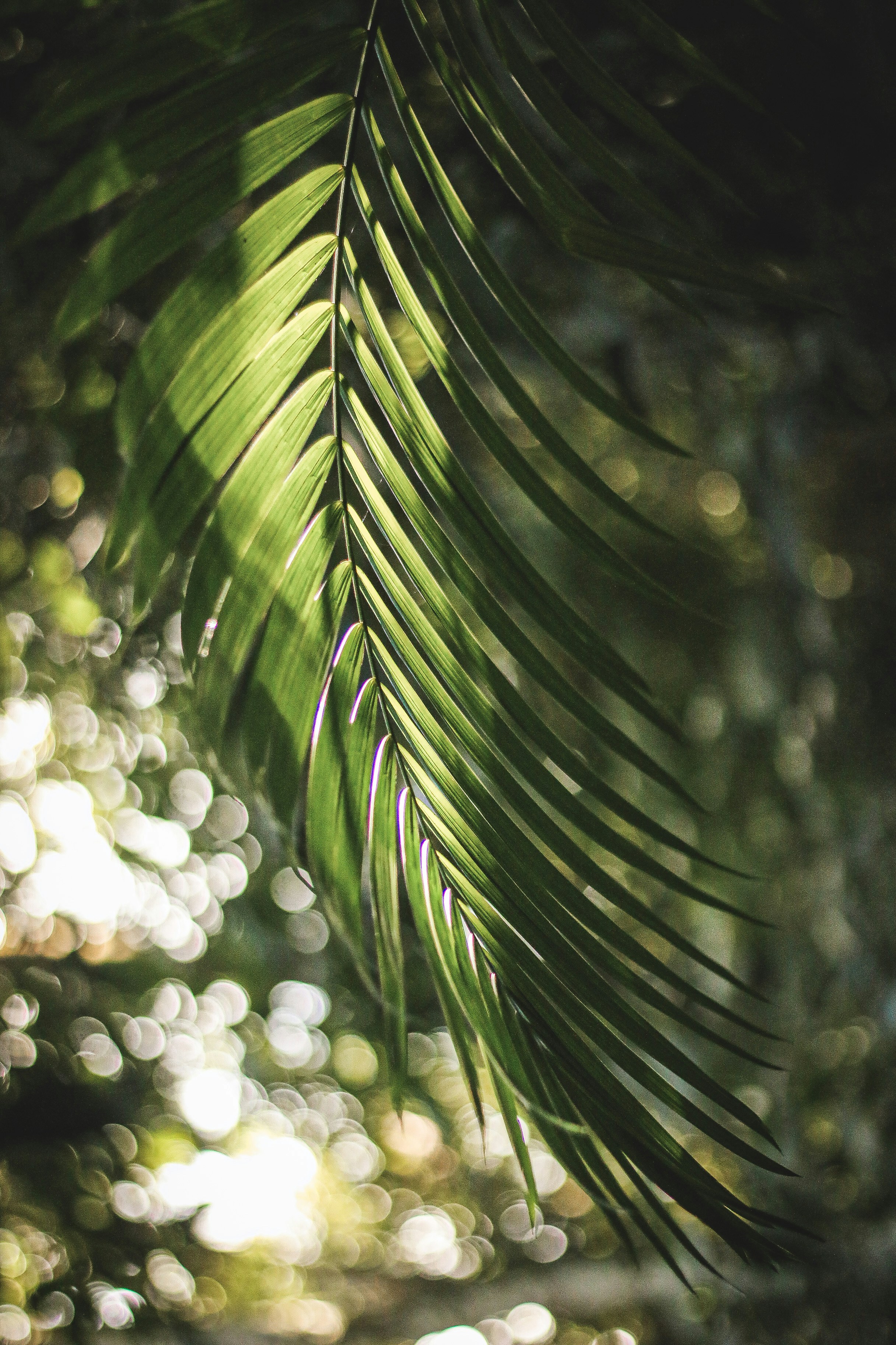 Photo by ariannesouzaph