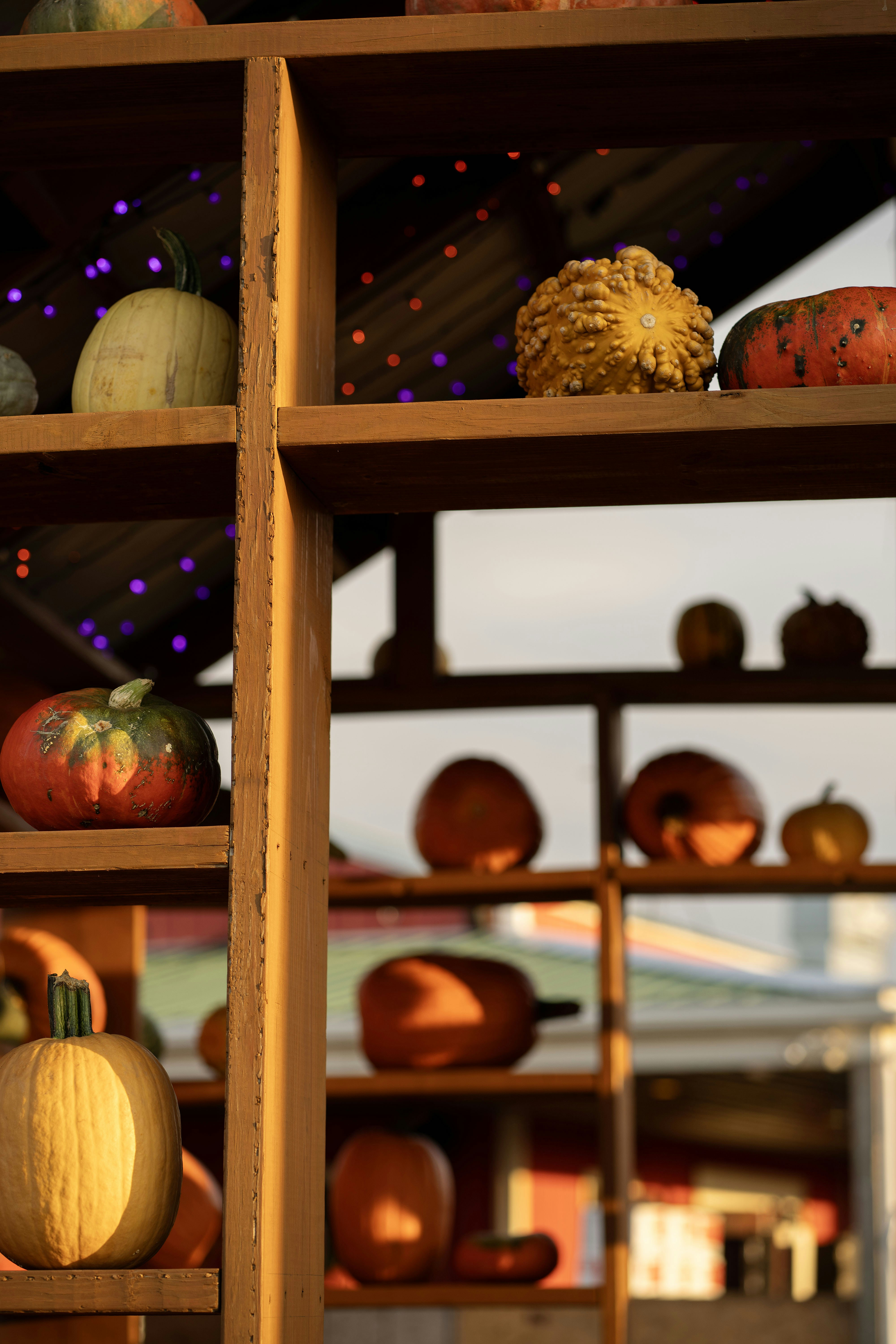 Photo by tarwaterash