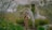 A large, artistic sculpture of a human head integrated with lush greenery in a peaceful, natural setting. A person stands in front of the sculpture, surrounded by various plants. The scene conveys a harmonious blend of nature and art.