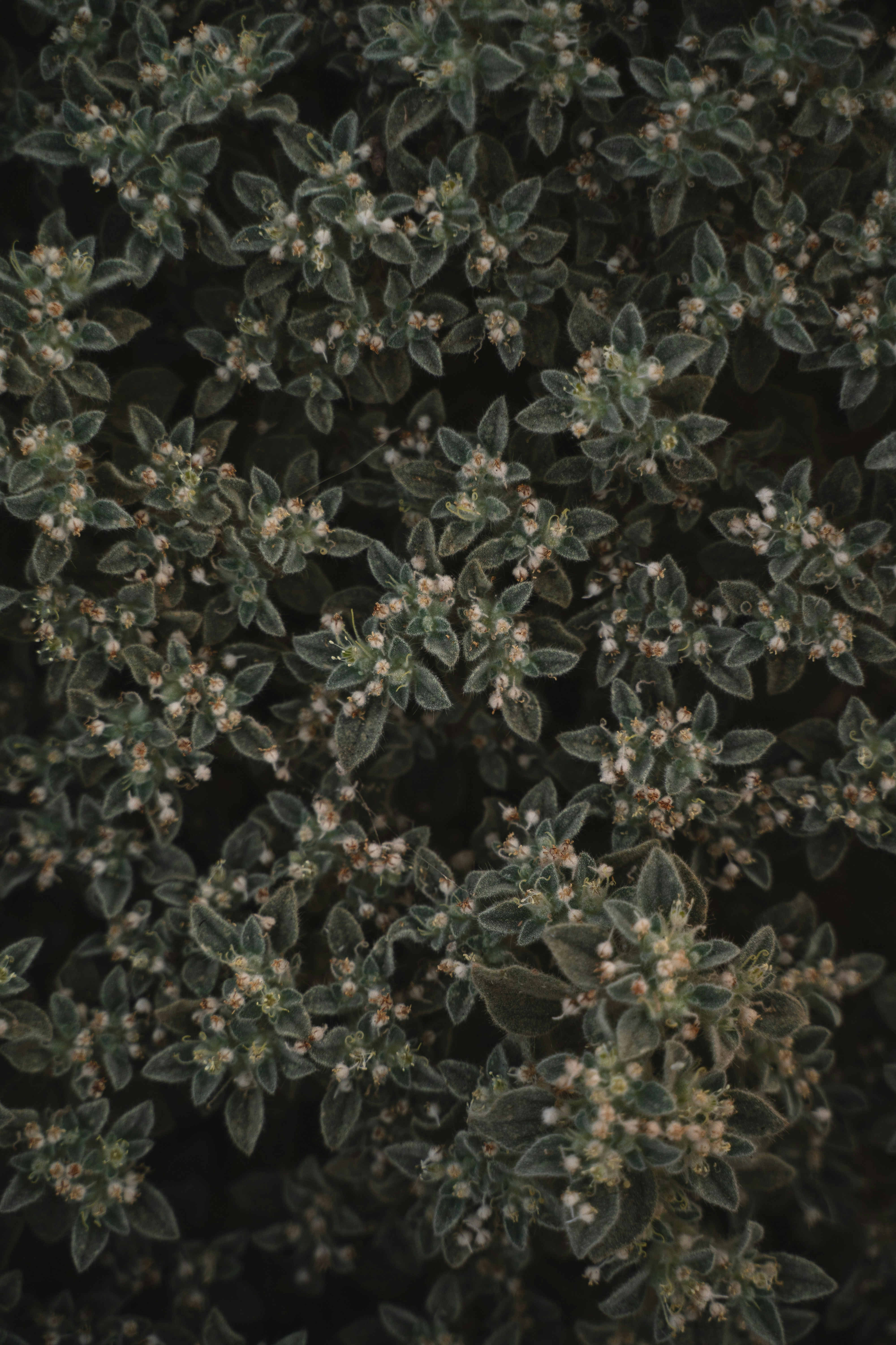 Photo by courtneysmith