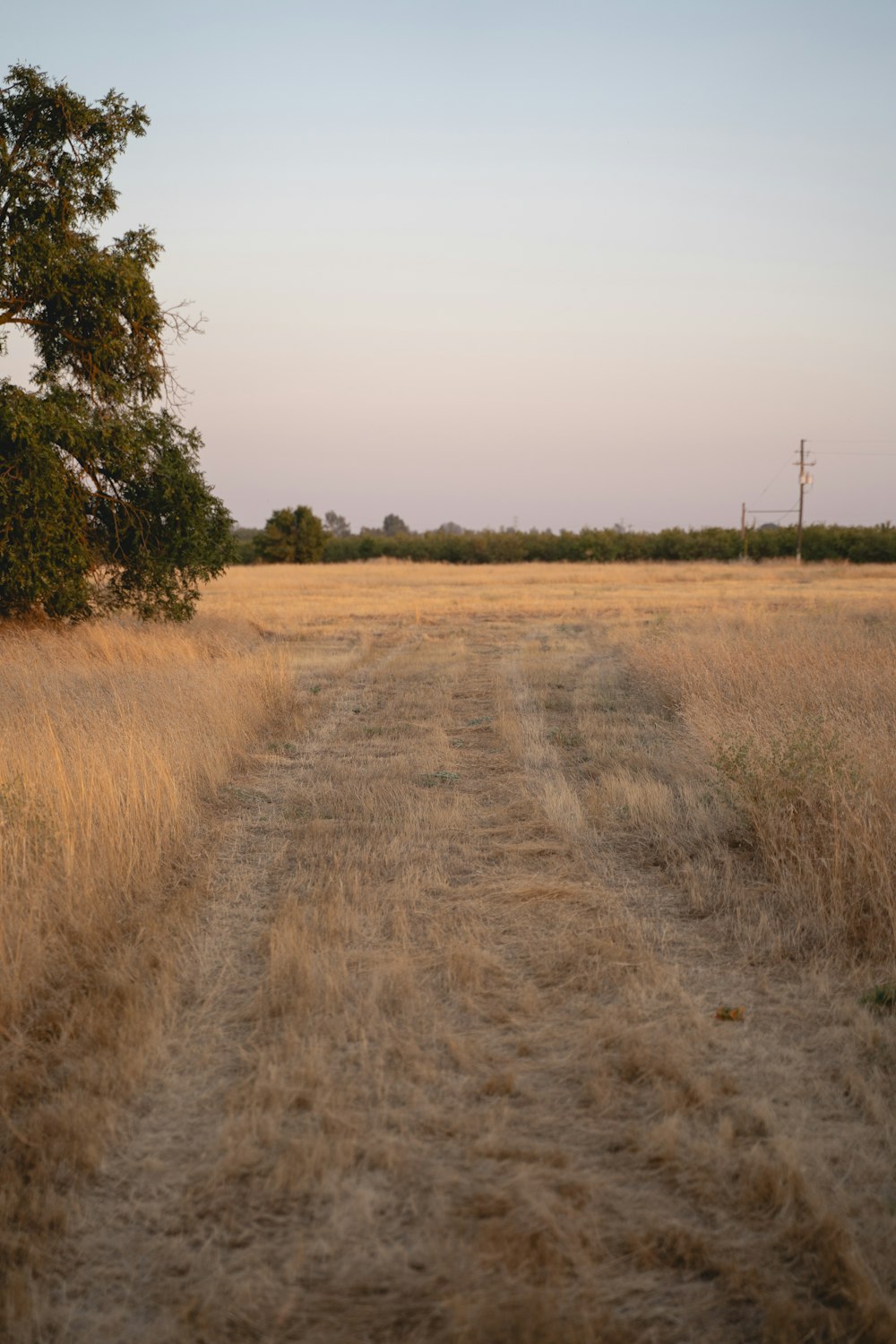 a dirt road in the middle of a field