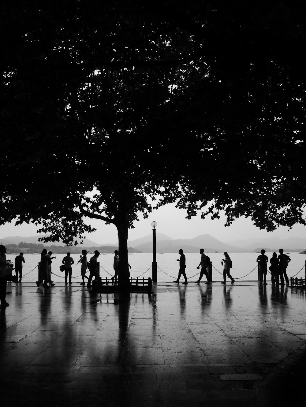 a group of people walking down a sidewalk next to a tree