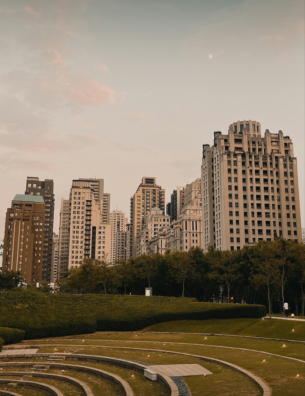 a view of a city from a park